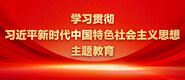 操嫩逼视频短片学习贯彻习近平新时代中国特色社会主义思想主题教育_fororder_ad-371X160(2)